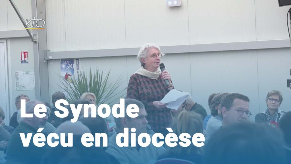 Le Synode vécu en diocèse